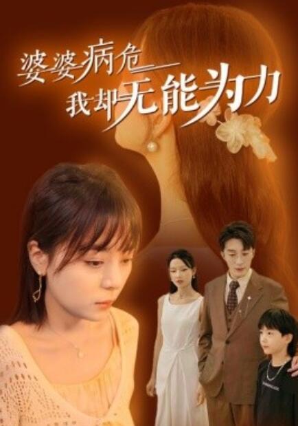 短剧《婆婆病危我却无能为力（30集全）》免费在线观看