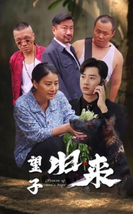 短剧《望子归来（50集全）》免费在线观看