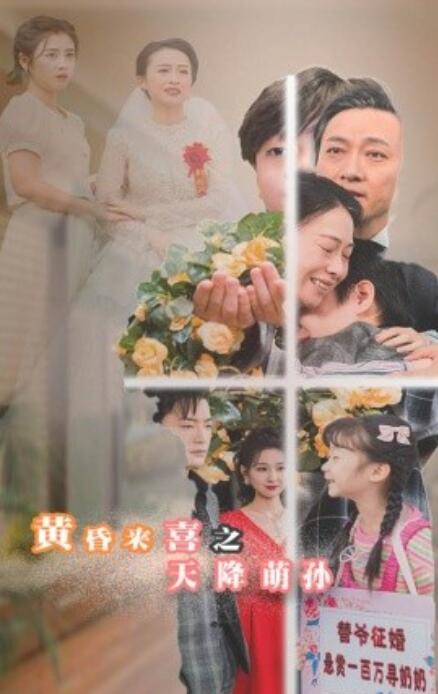 短剧《黄昏来喜之天降萌孙（60集全）》免费在线观看