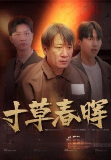 短剧《寸草春晖（1-31集）》全集免费在线观看